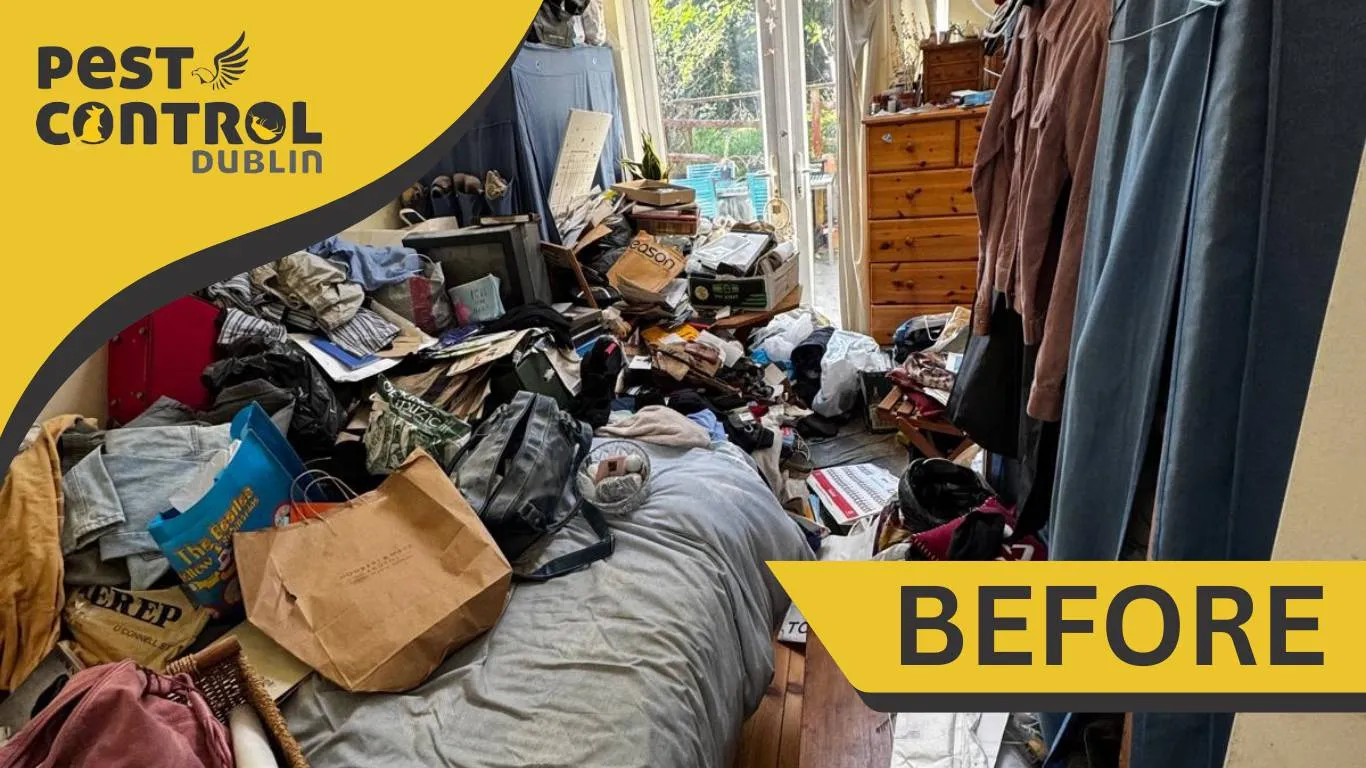 hoarder cleanup process in Dublin before