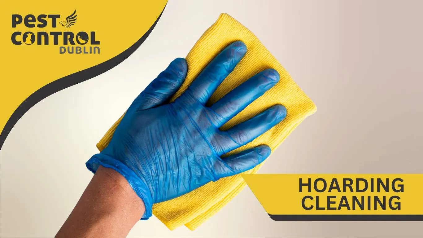 Hoarding Cleaning in Dublin