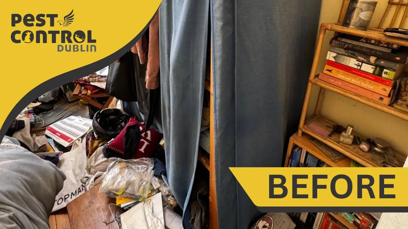 dangers of hoarding before