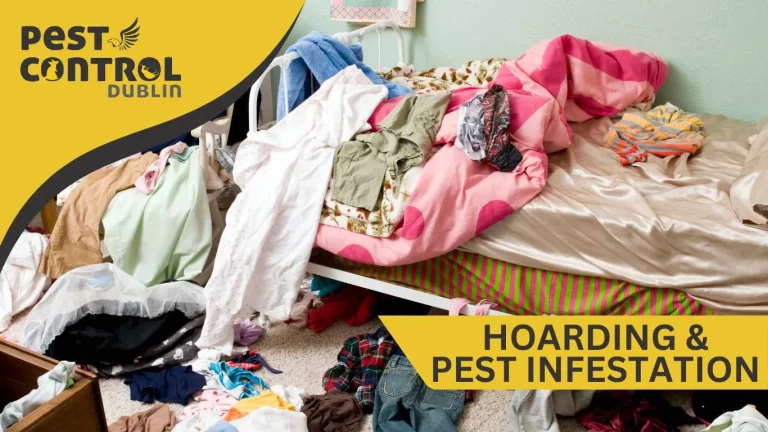 Messy hoarder’s bedroom with clothes and belongings piled up, demonstrating how hoarding and pests infestation spreads in cluttered living spaces.