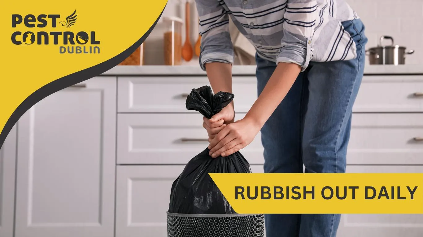 hoarding rubbish out daily