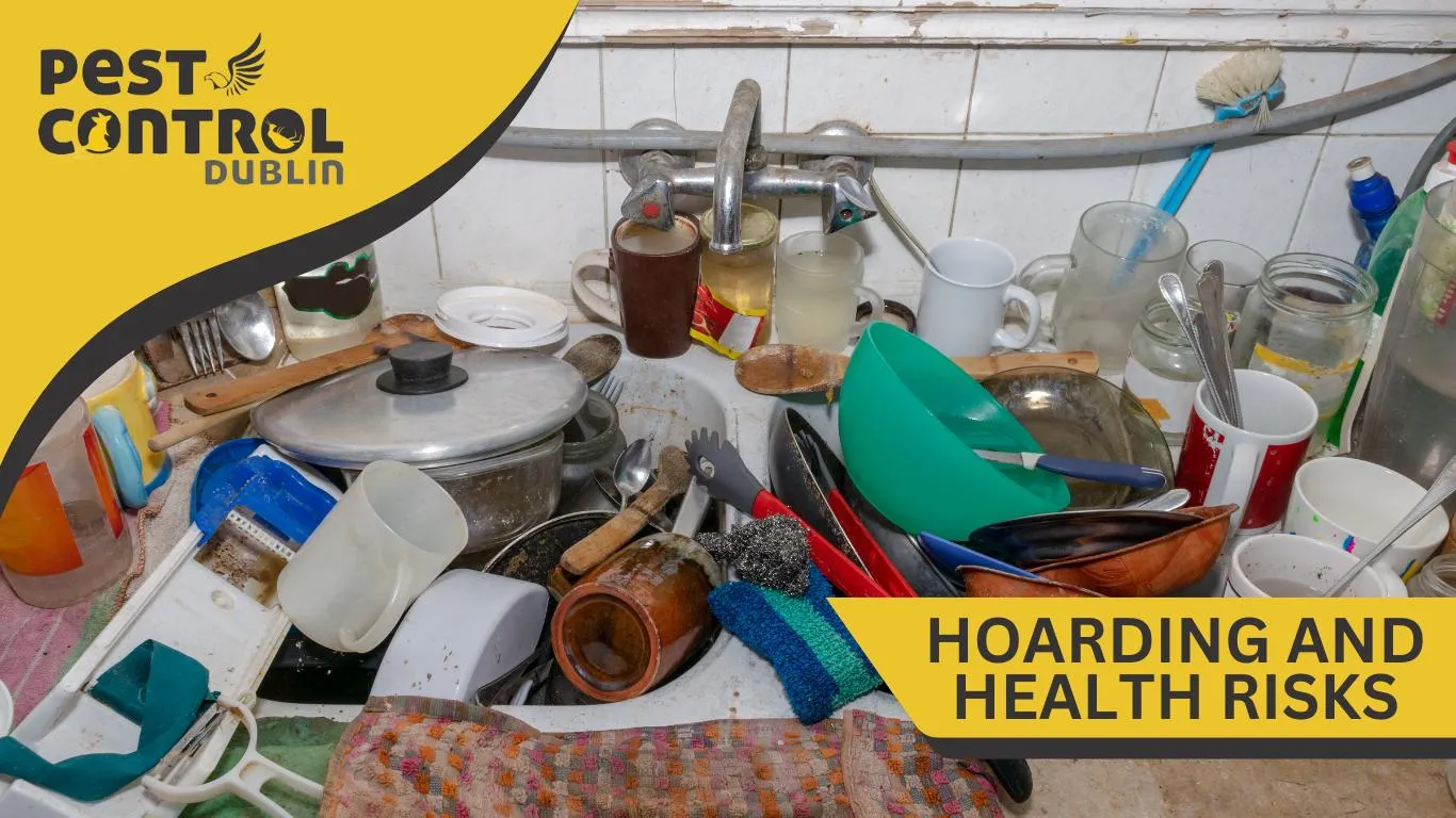 hoarding and health risks