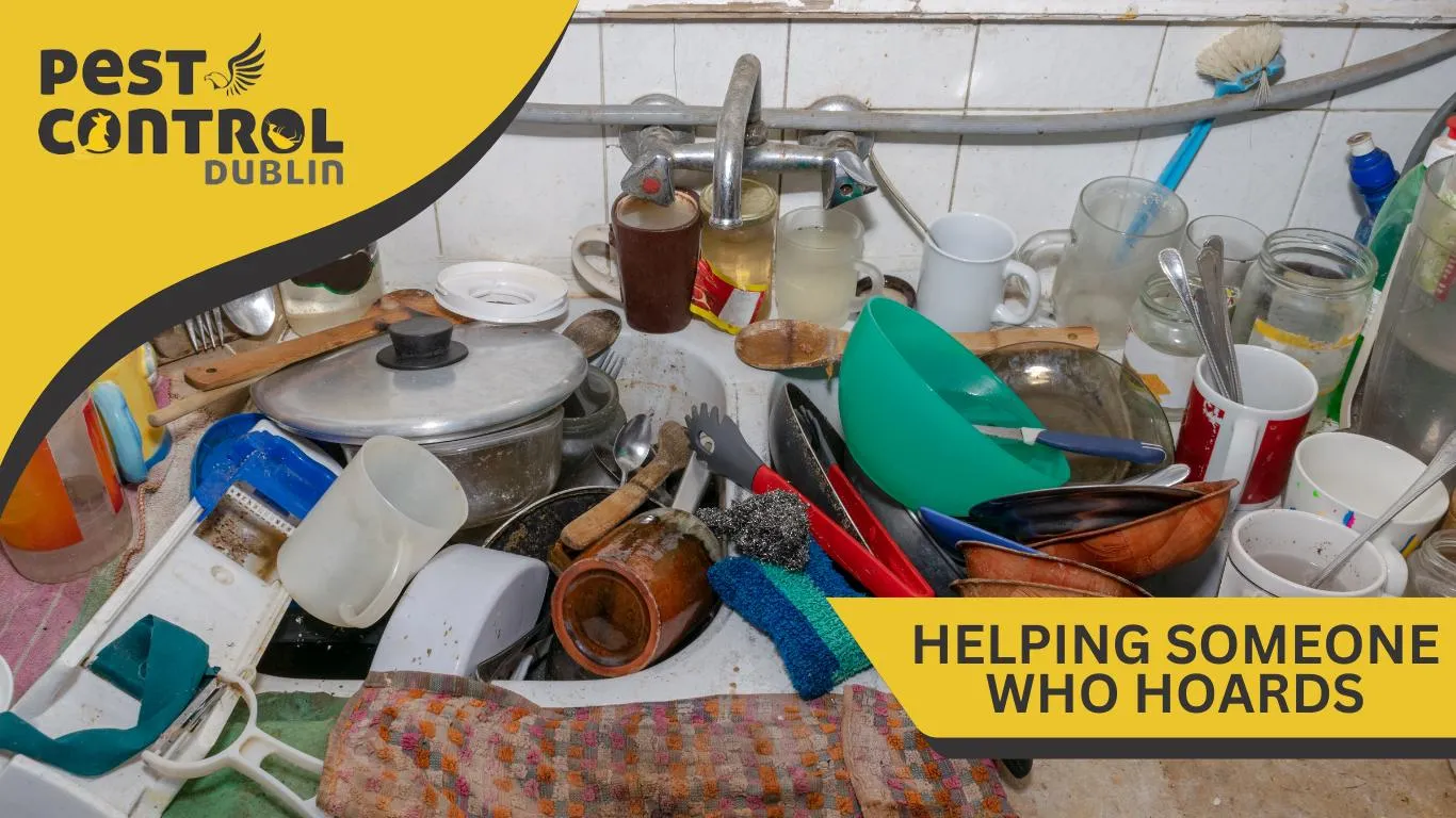 how to help family who hoards Ireland