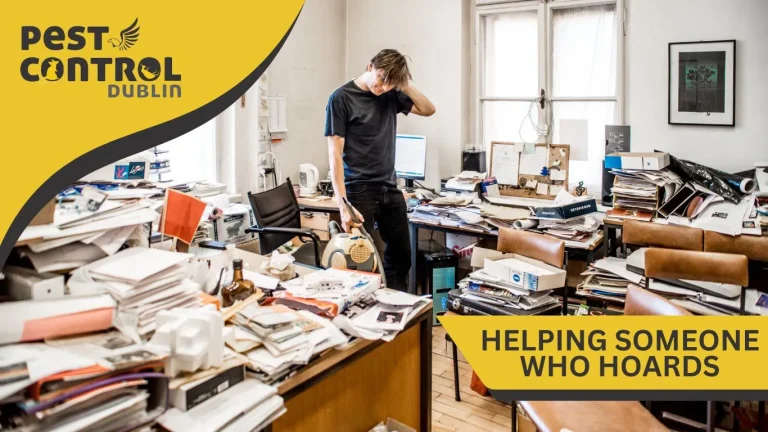 how to help someone who hoards