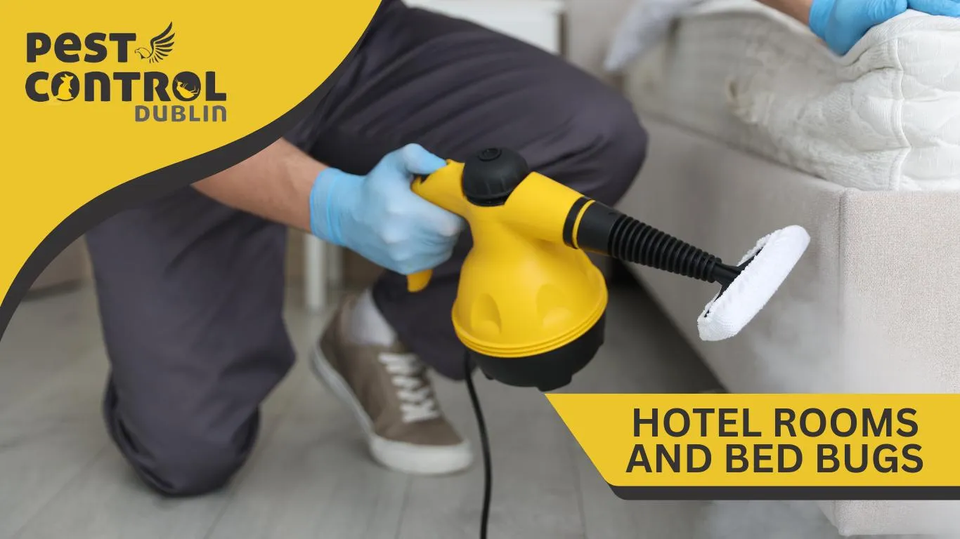 Hotel Room and bed bugs