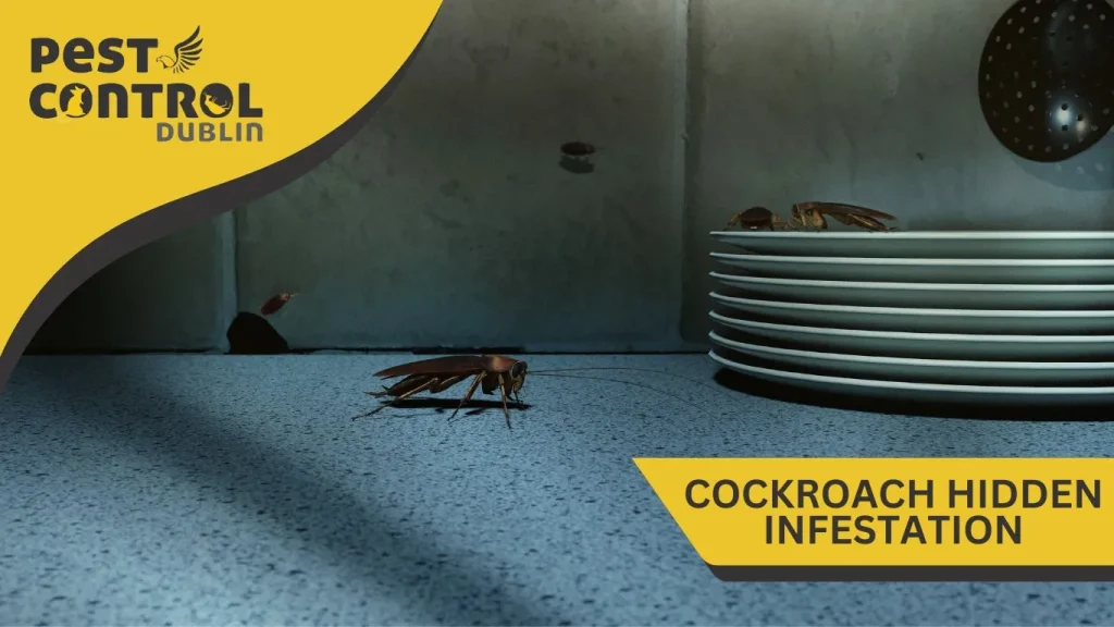 Cockroaches hidden infestation