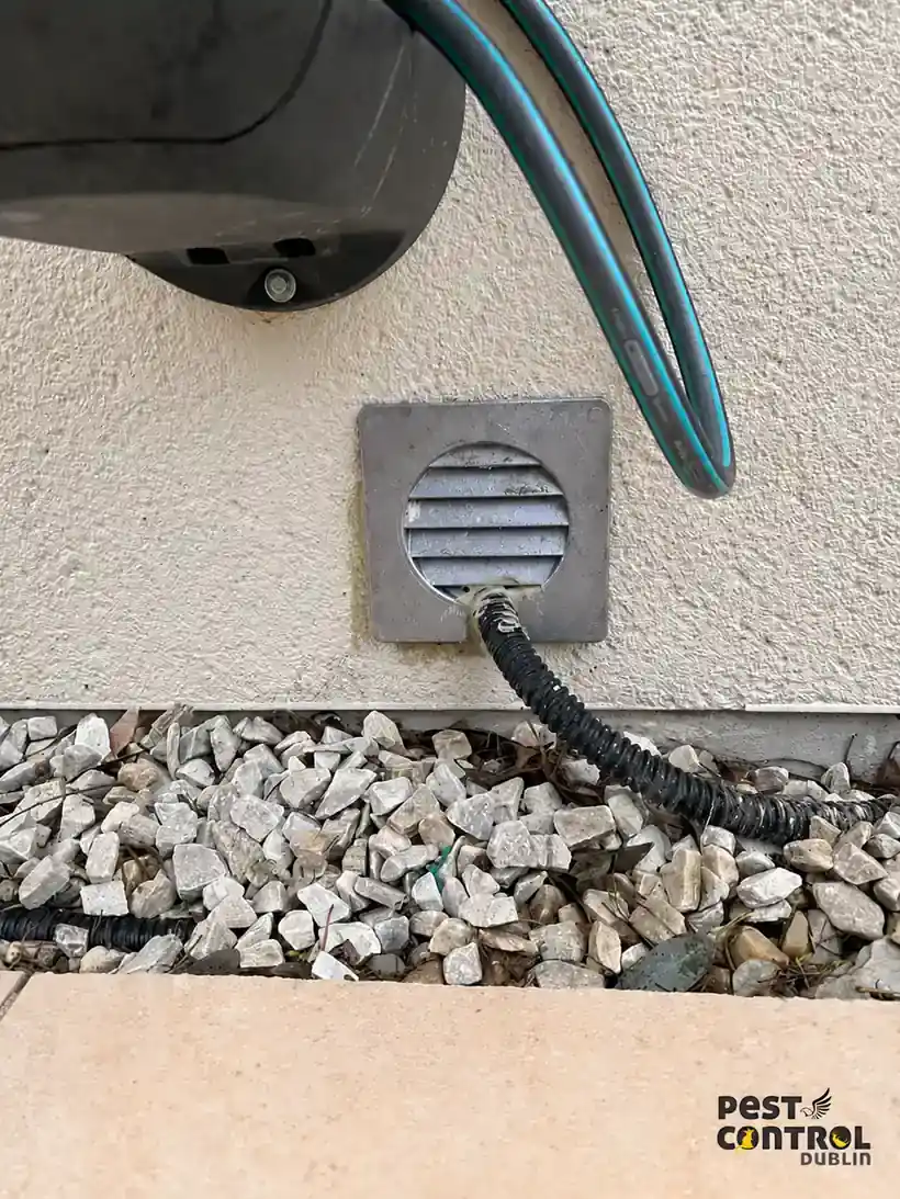 Replacement vent cover used as part of the rat proofing work.