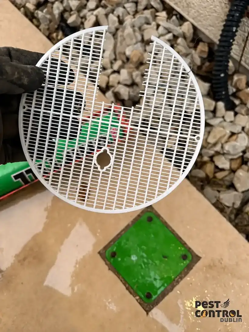 replacement damaged vent cover rat proofing dublin