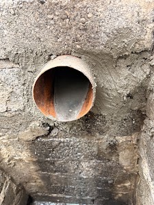 Pest Control Dublin place picture